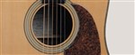 Recording King RD-126-FE2 Electro-Acoustic Dreadnought Guitar- Image 4
