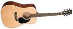 Recording King RD-06 Gloss Dreadnought Acoustic Guitar