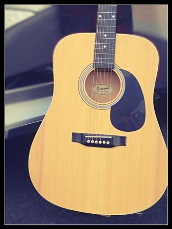 Savannah Dreadnought Acoustic SG-615-NA- Image 1