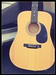 Savannah Dreadnought Acoustic SG-615-NA- Image 1