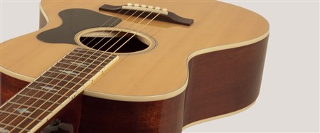 Recording King RNJ-26-NA Acoustic Guitar (Century Jubilee Series)- Image 4