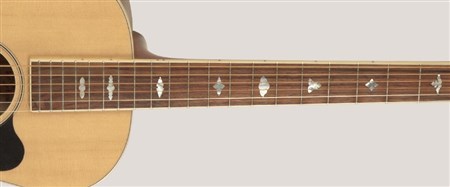 Recording King RNJ-26-NA Acoustic Guitar (Century Jubilee Series)- Image 1