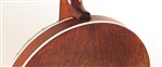 Recording King RK-R15-BR Resonator Banjo- Image 1
