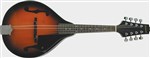Savannah SA-100-VS Mandolin- Image 1