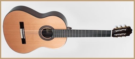 Francisco Domingo FG-27 Classic Guitar, Rosewood