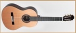 Francisco Domingo FG-27 Classic Guitar, Rosewood