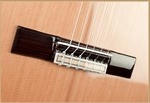 Francisco Domingo FG-27 Classic Guitar, Rosewood- Image 1