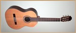 Francisco Domingo FG-17 Francisco Domingo Classic Guitar, Rosewood