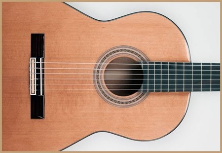 Francisco Domingo FG-17 Francisco Domingo Classic Guitar, Rosewood- Image 4