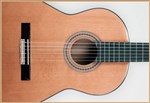 Francisco Domingo FG-17 Francisco Domingo Classic Guitar, Rosewood- Image 4