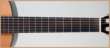 Francisco Domingo FG-17 Francisco Domingo Classic Guitar, Rosewood- Image 6