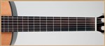 Francisco Domingo FG-17 Francisco Domingo Classic Guitar, Rosewood- Image 5