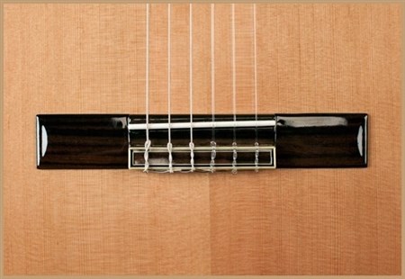 Francisco Domingo FG-17 Francisco Domingo Classic Guitar, Rosewood- Image 1