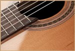Francisco Domingo FG-17 Francisco Domingo Classic Guitar, Rosewood- Image 3
