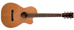 Recording King O Style Cutaway Guitar, ThermoCure Top RP1-16C