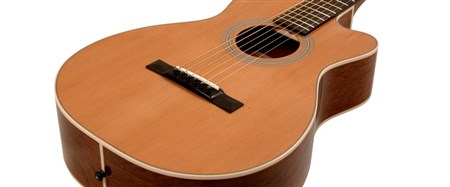 Recording King O Style Cutaway Guitar, ThermoCure Top RP1-16C- Image 3