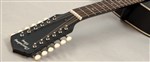 Recording King RDH-05-12 Solid Top Dreadnought 12 String Guitar- Image 1