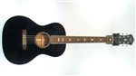 Recording King RNJ-26-BK Acoustic Guitar (Century Jubilee Series)