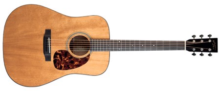 Recording King RD-T16-PG Torrefied Top Dreadnought
