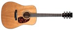 Recording King RD-T16-PG Torrefied Top Dreadnought