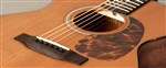 Recording King RO-T16 Torrefied Top O Shape- Image 1