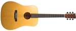 Recording King Eztone RD-A3M/RD03M Solid Top Dreadnought, Satin- Image 4