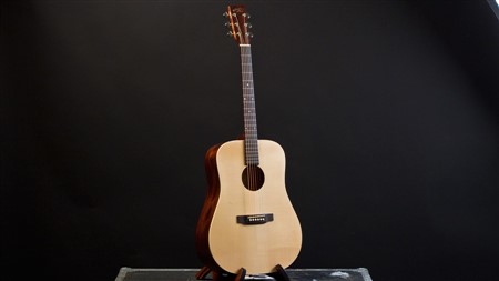 Recording King EZTone RD-A9M All Solid Dreadnought