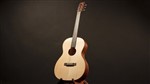 Recording King EZTone ROS-A9M All Solid 12 Fret 000 Guitar