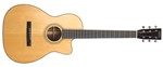 Recording King RP2-626-C All Solid OO, with Cutaway- Image 2