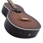 Recording King RPS-7-E Parlour Guitar with Soundhole Pickup- Image 3