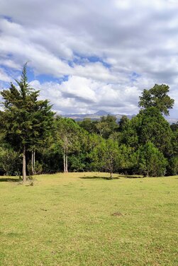 Garden View Double Room