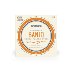 D'addario EJ61 5-String Banjo Strings Nickel 10-23, Medium
