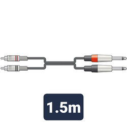 Citronic 2 RCA Phono - 2 6.35 MM Jack Lead / Cable