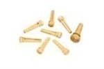 Planet Waves Bridge And End Pin Set Pwps12, Ivory/Black Dot