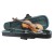 Primavera Prima 200 Violin Outfit