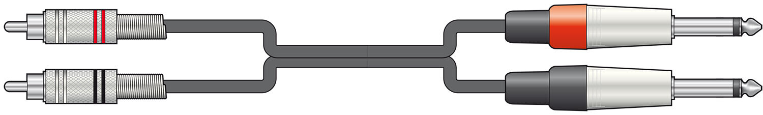 Citronic 2 RCA Phono - 2 6.35 MM Jack Lead / Cable, Black, 6 Metre 190.069UK