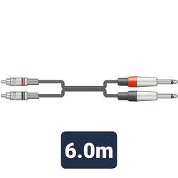 Citronic 2 RCA Phono - 2 6.35 MM Jack Lead / Cable, Black, 6 Metre 190.069UK