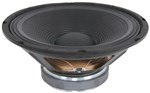 AVSL Qtx Replacement Speaker 200W, 12"