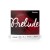 D'addario Prelude Violin String Set Medium Tension