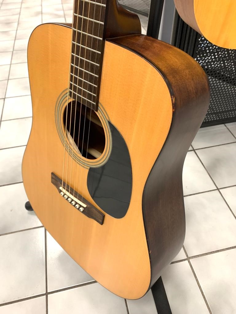 Recording King RD-06M Solid Top Dreadnought Matt, Natural Matt