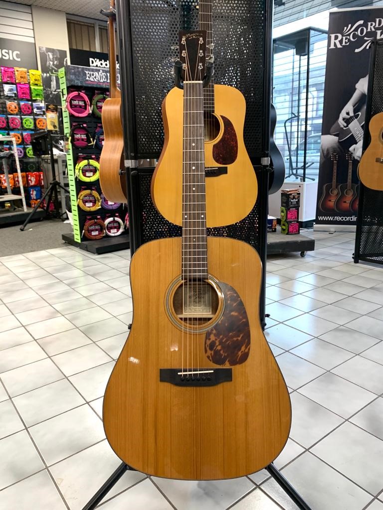 Recording King RD-T16PG