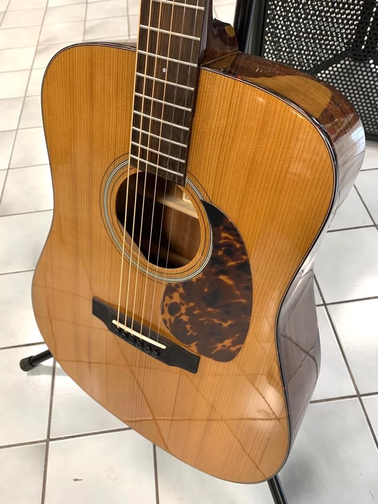 Recording King RD-T16PG