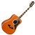 Eko Ranger VI String VR Acoustic Guitar, Natural Wood Stain