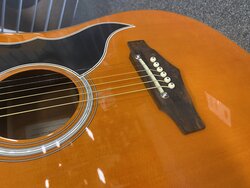 Eko Ranger VI String VR Acoustic Guitar, Natural Wood Stain
