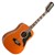 Eko Ranger XII 12 String VR Acoustic Guitar, Natural Stain