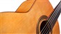 Cordoba C5-Ltd CED Classical Guitar