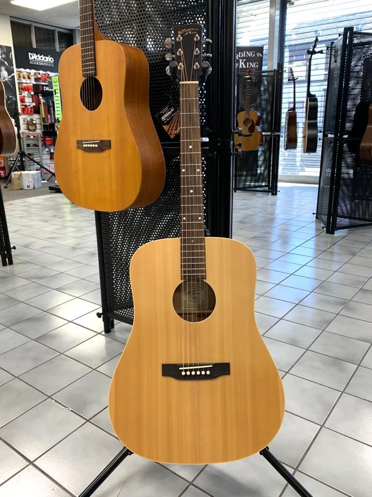 Recording King Eztone RD-A9M All Solid Dreadnought, Natural