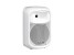 FBT J8A Powered 8" Speaker, Each