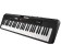 Casio Casiotone CT-S200BKC5 LCD Screen 61 Full-Size Keys Electronic Keyboard, Black