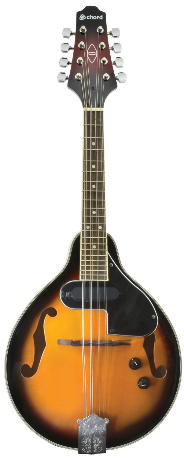 Electric mandolin neck deals